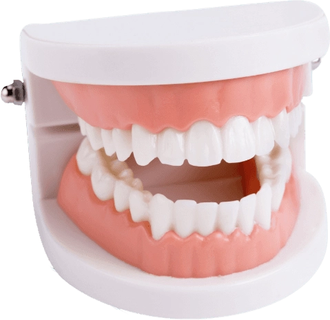 Healthydent zuby